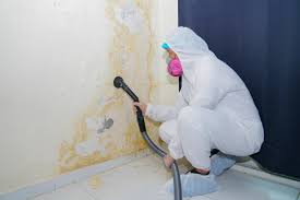 Mold Remediation for Vacation Homes in Golden Gate, FL